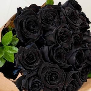 Meet your Posher, Shonna